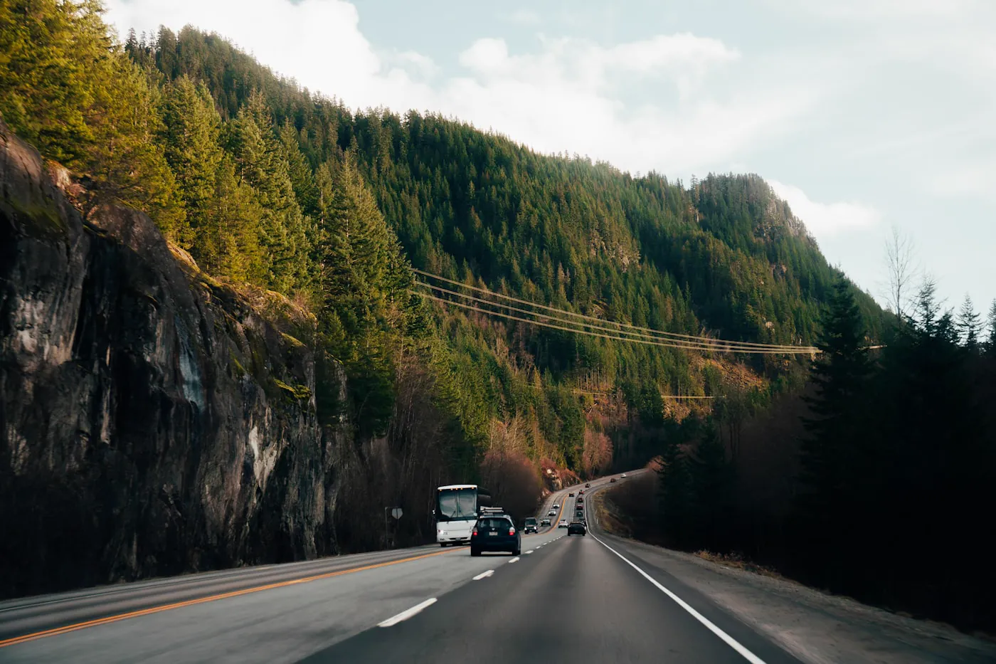 緑の山々を抜ける海岸道路